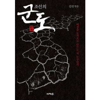 朝鮮的群盜：是誰讓百姓淪為盜賊, A計畫, 金振 著