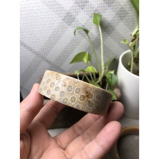 台灣藍寶 菊花石 珊瑚玉 寬版手鐲