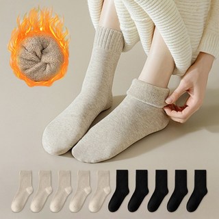 애플민트 프리미엄 겨울 데일리 기모 니트 중목 양말 10켤레
