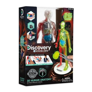 디스커버리 3D 야광 인체 해부 모형 키트, 1개