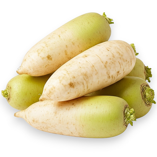 채움정 제주 흙 무우 월동무, 1박스, 7kg