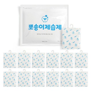 심플라이프 400% 습기먹는 뽀송이 제습제 걸이형 12매, 12개, 60g