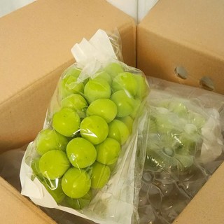 샤인머스켓 제철 과일 청포도 씨없는 포도, 1박스, 1kg(2수 가정용)