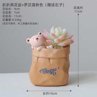 熱銷新品 【3683人收藏】北歐仿真綠植物僊人掌多肉假花裝飾擺件客廳擺設辦公室桌麵小盆栽, 1個, 趴趴熊花盆+羅漢蓮粉色(贈送石子)