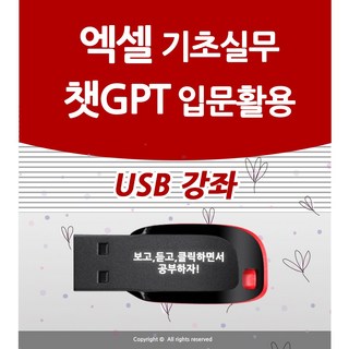 엑셀 배우기 교육 기초 실무 엑셀365 오피스+챗GPT 입문 활용 사용법과 인공지능 쳇지피티 AI기초 공부 배우기 USB 책 교재 보다 좋은 강좌, 엑셀+챗gpt