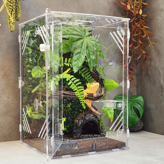 에버리움 크레스티드 게코 도마뱀 아크릴 사육장 세트 - 중형 24x24x36cm, 1세트, 기본투명