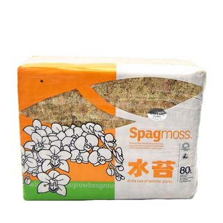 프리미엄 뉴질랜드 천연 수태 80L ron*008PL, 1개