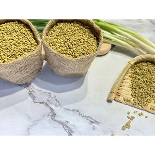 米麴 米酵 米浦 米菇 600克 - 天然發酵，台灣在地米種，營養豐富, 300g, 1個