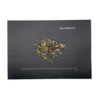 에키네시아 자주천인국 뿌리 폴란드산 Echinacea purpurea 100g, 1개