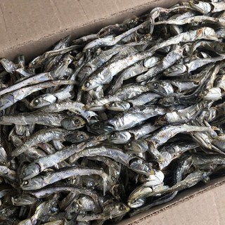 신건호멸치 육수용 햇 다시멸치(상급) / 대멸치 국물멸치, 1kg, 1개