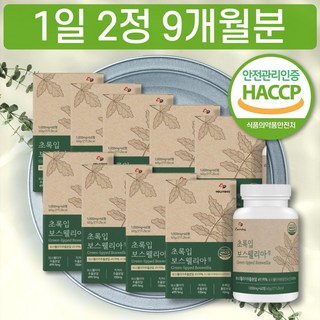 HACCP 인증 보이스웰리아 보스웰리아 보스웰리 먹는 방법 시간 직구 비교 순위 홈쇼핑 후기 고르는법 음식 식품 추천 해외 직구 수입 초록입 홍합 파우더 가루 원산지 BOSWELLIA, 60정