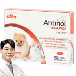 안티놀 래피드, 60정, 뼈/관절강화, 1개