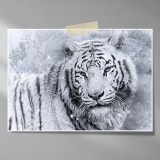 엘티에프티 성공 승진을 부르는 호랑이 포스터 그림(액자 제외) 황호랑이 백호랑이 그림 액운방지 사업잘되는 인테리어 포스터, 설경속 백호랑이 포스터