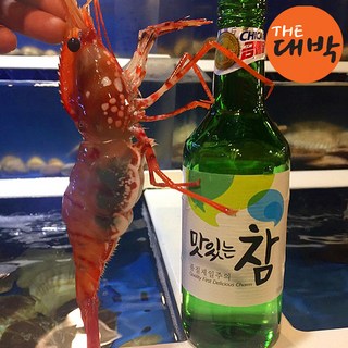 활 독도새우 도화새우, 1개, 활 도화새우(대) 1kg