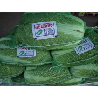 [좋은야채] 해남배추 통배추 생배추 망배추 김장배추 배추 1망 3포기, 7kg, 1개