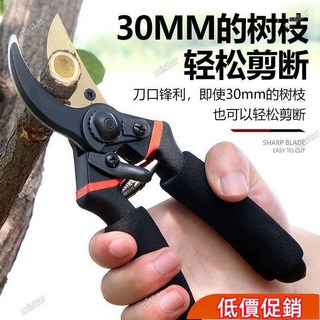 特價下殺 園林剪 10寸 修枝剪 果樹剪 高枝剪 園藝剪刀 粗枝剪 花枝剪 粗枝剪 樹枝剪 強力園林修枝剪, 1個, 【2把】金剛磨刀石,【質保十年】加強加硬 工藝