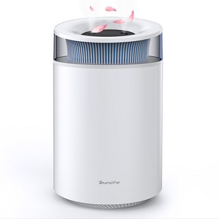 CCAGU 대용량 가습기 2.5L 무소음 듀얼미스트 아마로 오일 가습기 다채 무드등 사무실 탁상용, 화이트