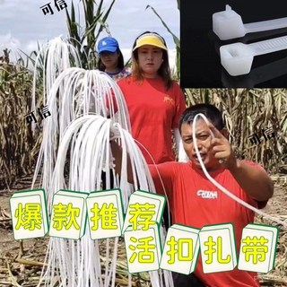 特大號超長捆桿繩紮帶 - 玉米桿稭稈捆綁繩 - 多次使用 - 捆草抗凍