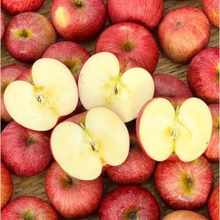 [한입과득] 고당도 청송사과 가정용 당일발송, 1박스, 사과 10kg (중소과)