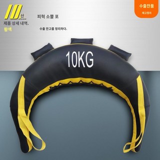 블가리안백 스퀘트백 헬스 중량 모래주머니 트레이닝용, 10kg