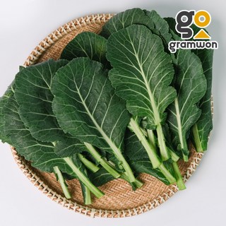 유기농 케일 2kg 신선초 즙용 주스용 녹즙 쌈채소, 1