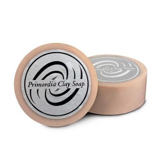 長庚生技 真原泥礦物皂 100g - 原廠公司貨, 1個