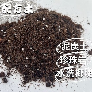 園藝配方土 觀葉植物介質 泥炭土 珍珠岩 椰塊 排水透氣土壤, 1個, 配方土 一包 (約2.6公升)