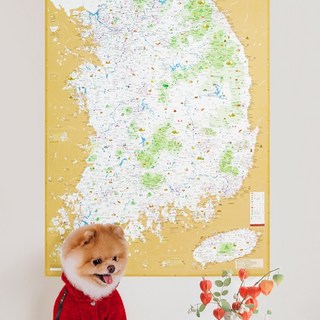 강아지동반 국내여행지도 1000곳 대형맵 반려견 맛집 숙소 휴가계획 코팅