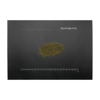 쐐기풀 씨앗 Nettle seed Urtica dioica 100g