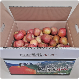[산지직송] 청송사과 10kg 알뜰사과 부사 고당도 햇사과, 01.알뜰흠집 10kg 소과 (45과~65과내외), 1박스