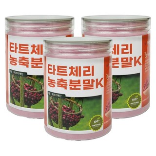 타트체리분말 300g / 튀르키예 타트체리 농축 추출물 가루 파우더 체리 체리분말 요거트 샐러드 활용 건강차 체리쥬스 주스, 3개