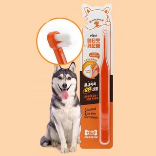 틈새 치석제거 초미세모 소형견 개 칫솔 2개 진돗개 강아지양치 대형견