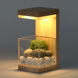 모던포인트 원목 플랜테리어 LED 무드등 집들이선물, 네추럴 베이지