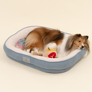 펫앤마마 애완동물 꿀잠 방석, 더스티 블루, 1개