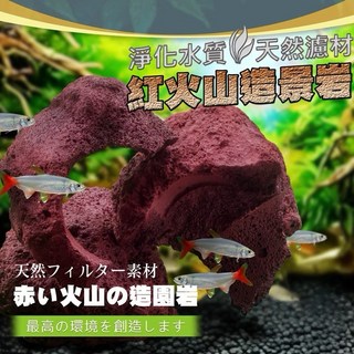 帥哥水族【天然火山岩】約20顆/箱 火山岩 水族 濾材 陶瓷環 過濾器, 1個