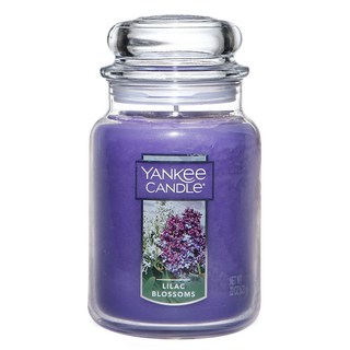 양키캔들 라지자, 라일락블라썸, 623g, 1개
