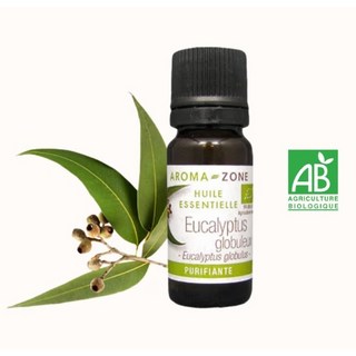 AROMA-ZONE 有機藍膠尤加利精油 30 ML, 1個