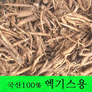 [금산더덕] 직접재배한 생 더덕1kg >산지직송> *국산100%*, 1개, 더덕 (파지) 엑기스용 1kg