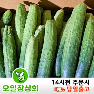 ( 오일장 상회 ) 국내산 다다기오이 백오이 지오이 업소용 식당용 중품 C품 9KG~10KG, 1개