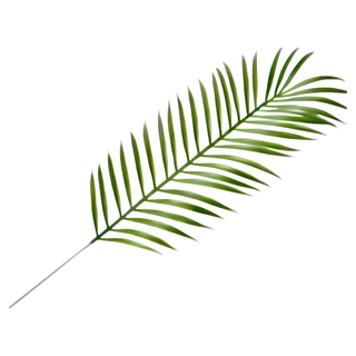 ONEDAY 熱銷仿真熱帶雨林植物 仿真龜背葉 仿真椰樹葉 春雨葉 西瓜葉 拍攝道具, 綠色, 1個