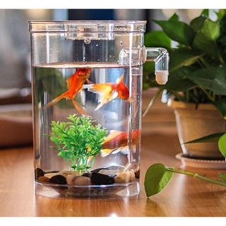 어항 물고기 금붕어 키우기 자동청소 무환수 미니어항 사각 원형 neo260, 1세트