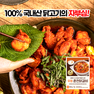 [우정춘천닭갈비] 양념닭갈비 캠핑 볶음 요리, 3개, 500g