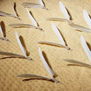 빙글뱅글화이트 고양이 회전깃털 리필장난감, 단일옵션, 10개