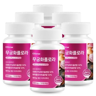 대용량 무궁화 파미플로라 파비 흑마늘 생강 식약처 인증, 6개, 120정