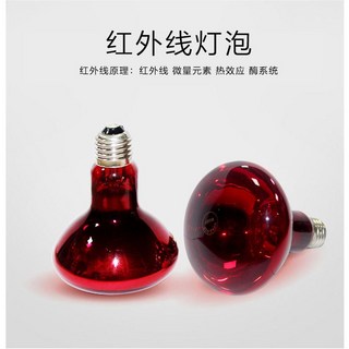 紅外線燈泡 烤燈家用電烤燈 紅外線電理療儀燈泡 復健治療E27燈泡 美容燈 太空艙烤燈 兩棲動物取暖燈, 1個, 110vE27紅外線75w, 紅外線