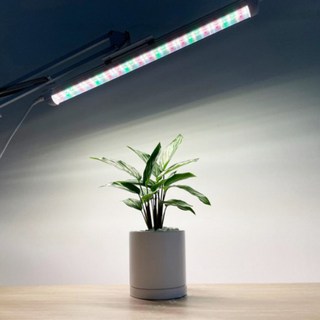 30cm (10W) 풀나옴 LED 그린플러스 식물등 전구 식물 생장등 성장 식물원 다육이 관리 조명, 1개, 주광색_집중형