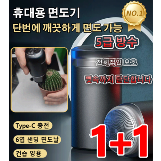 1+1 독일 휴대용 미니 면도기 남성용 전기 면도기 Type-C 충전/6엽 샌딩 면도날/건습 양용, 그린*1+1