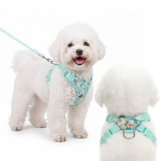 견행묘행 강아지 꽃무늬 하네스 목줄 리드줄, 1개, 민트