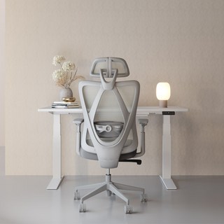 FlexiSpot 사무용의자 푹신한 컴퓨터의자 메쉬의자 입체형허리받침대 A/S 3년 사무실의자 C5, 그레이