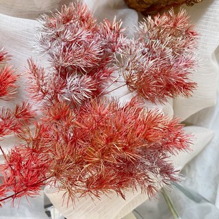 過年裝飾仿真花芍藥盆花，春節拜年牡丹花藝，春聯裝飾太陽玫瑰永生花擺件, 火樹銀花一份3-4g, 1個